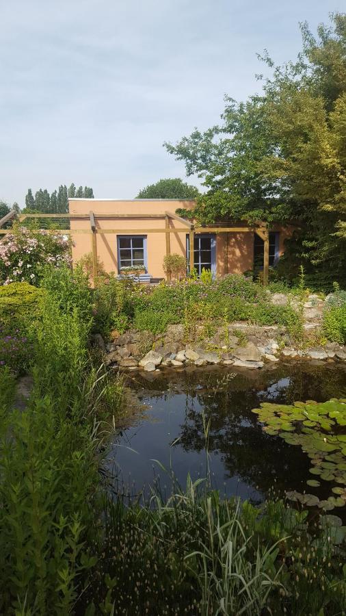 B&B La Cle Du Sud Мерельбеке Экстерьер фото