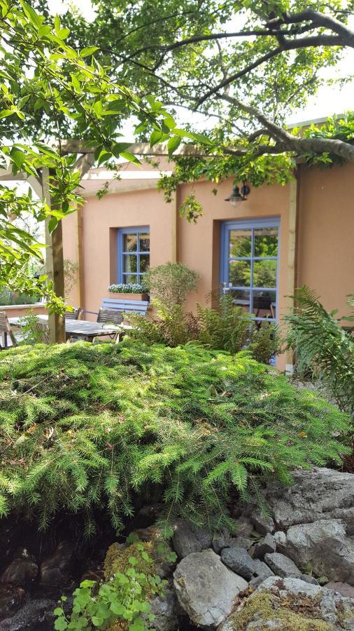 B&B La Cle Du Sud Мерельбеке Экстерьер фото